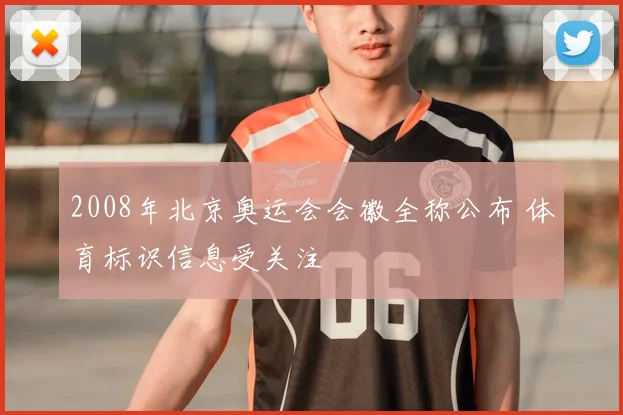 2008年北京奥运会会徽全称公布 体育标识信息受关注