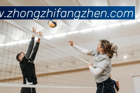 投注app官网发展历程